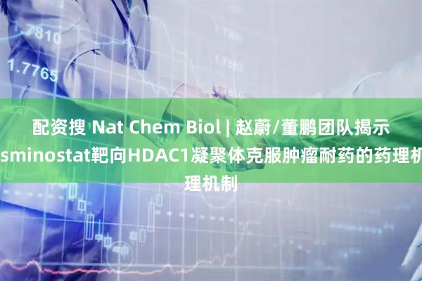 配资搜 Nat Chem Biol | 赵蔚/董鹏团队揭示Resminostat靶向HDAC1凝聚体克服肿瘤耐药的药理机制